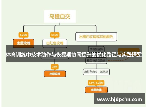 体育训练中技术动作与恢复期协同提升的优化路径与实践探索